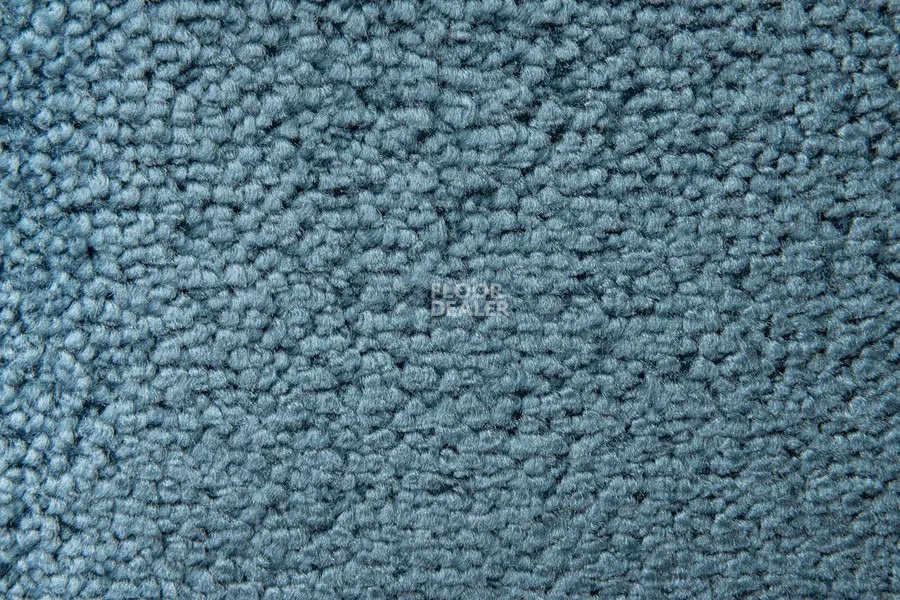 Vorwerk Superior 1064/Lyrica Vorwerk 3q60 фото 4 | FLOORDEALER